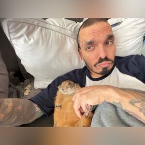 Meet your Posher, Alpha